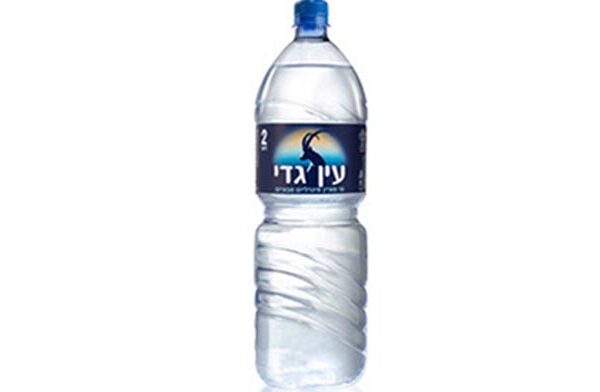 בקבוק בודד עין גדי