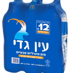 שישית עין גדי -  2 ליטר