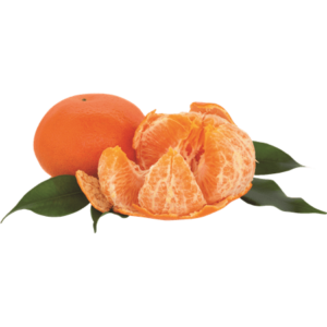 קלמנטינה